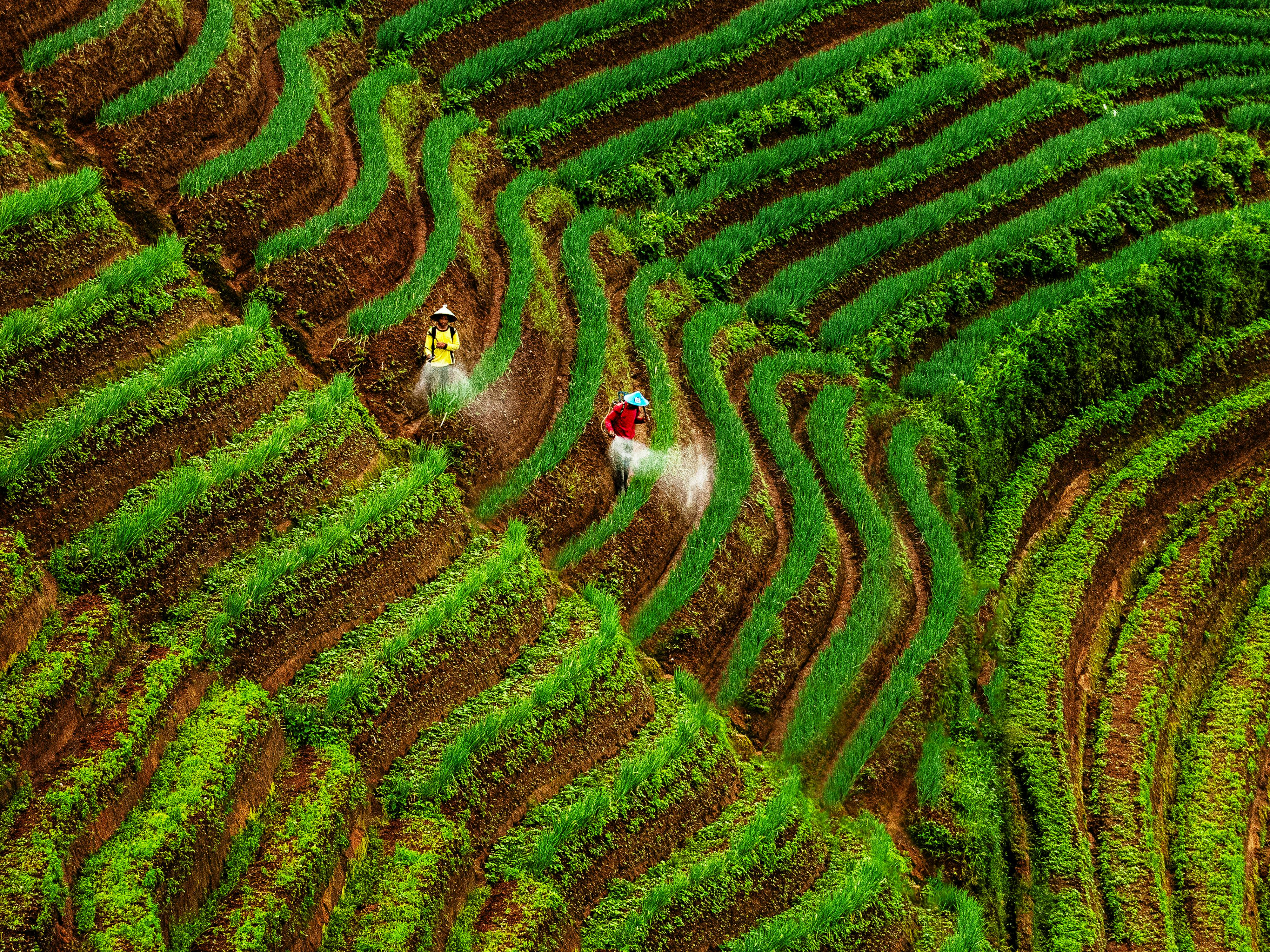 轮播图6