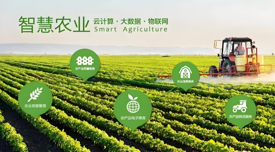 布局结构示意图